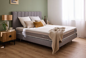 Toulouse- Phillippe Rey Toulouse- Phillippe Rey