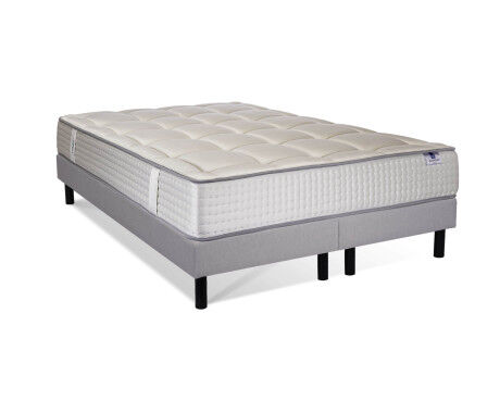 Silver majesty-Aigle