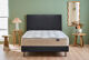 Pack Déco Simmons Osez - Philippe Rey H17 Pack Déco Simmons Osez - Philippe Rey H17