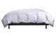 Couette Albert