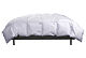 Couette Albert