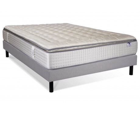 Platinium Majesty- Boréal