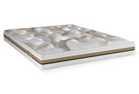 Hévéa Link Hévéa Link