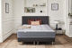 Pack Déco Aphrodite Eglantine Easysom Inox Pack Déco Aphrodite Eglantine Easysom Inox
