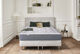 Pack Déco Aphrodite Eglantine Easysom Inox Pack Déco Aphrodite Eglantine Easysom Inox