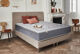 Pack Déco Aphrodite Eglantine Easysom Inox Pack Déco Aphrodite Eglantine Easysom Inox