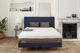 Déco Wave+ - Philippe Rey H17 Marine Déco Wave+ - Philippe Rey H17 Marine