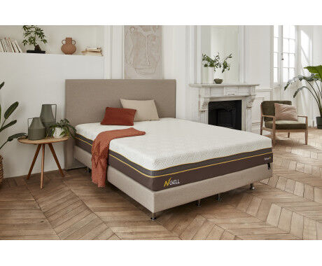 Déco Wave+ - Philippe Rey H17