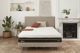 Déco Wind+ - Philippe Rey H17 Nature Déco Wind+ - Philippe Rey H17 Nature