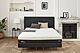 Déco Wind - Philippe Rey H17 Black
