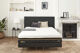 Déco Wind+ - Philippe Rey H17 Black Déco Wind+ - Philippe Rey H17 Black