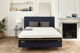 Déco Wind+ - Philippe Rey H17 Marine Déco Wind+ - Philippe Rey H17 Marine