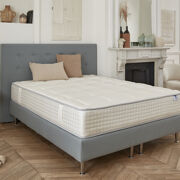 Celadon
