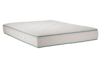 Green Mousse Green Mousse