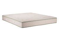 Green Latex Green Latex