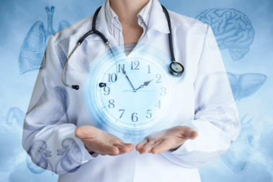 La chronobiologie, une machine bien rodée !