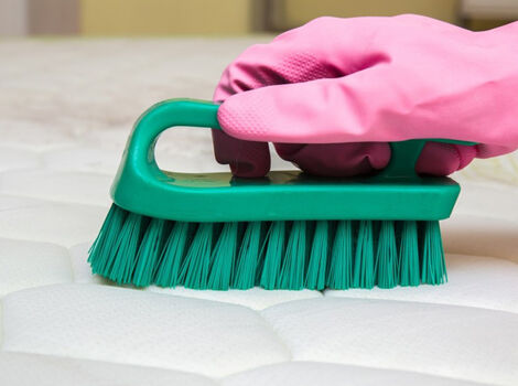 nettoyage d'un matelas à l'aide d'une brosse